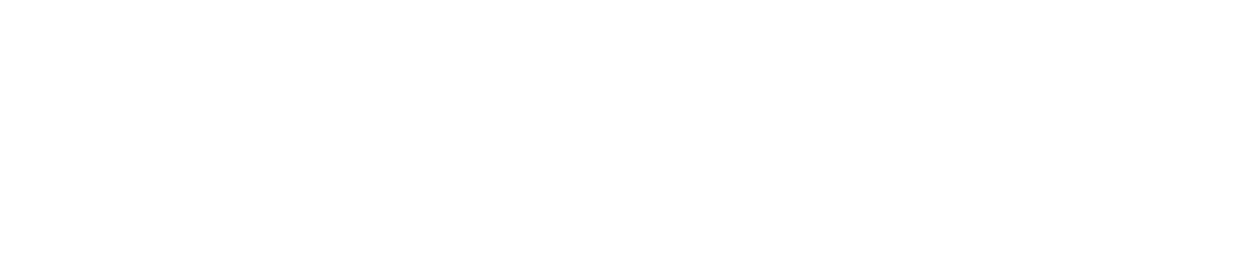 Dariusz Felskowski usługi informatyczne logo